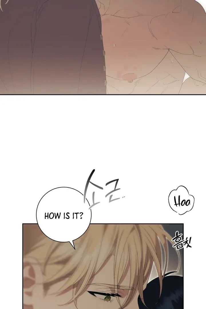 Chapter 11, page 66