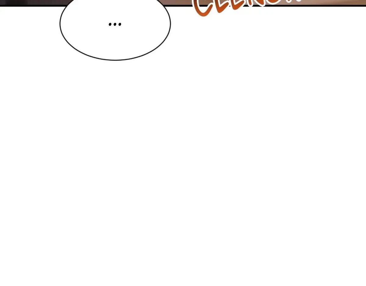 Side. : 17, page 13