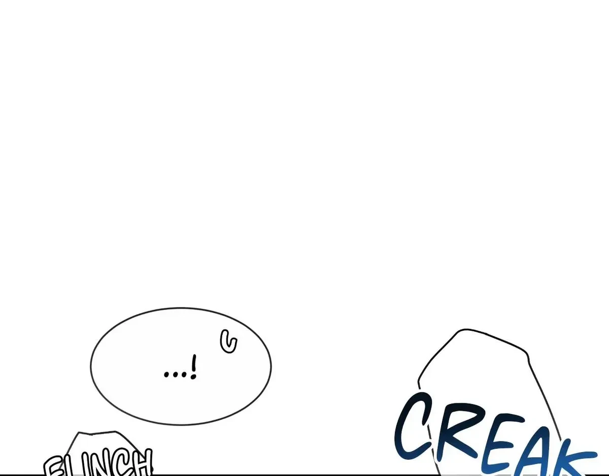 Side. : 17, page 85