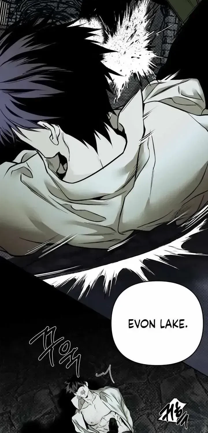 Chapter 1.3, page 17