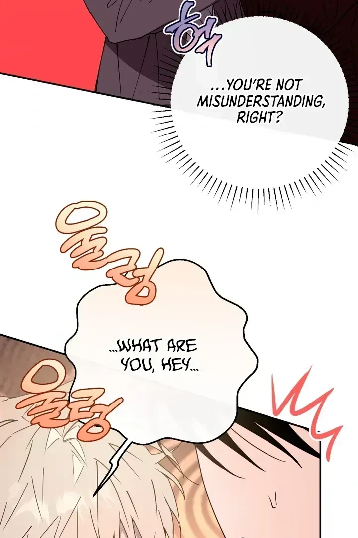 Chapter 2.4, page 50