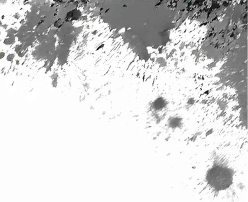 Chapter 10, page 86