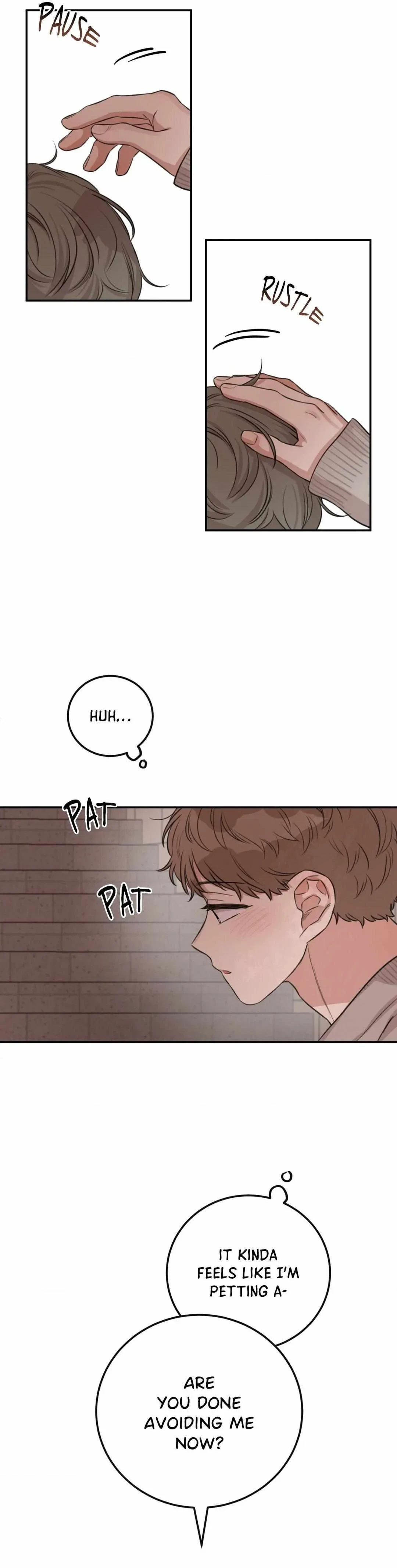 Chapter 3, page 19