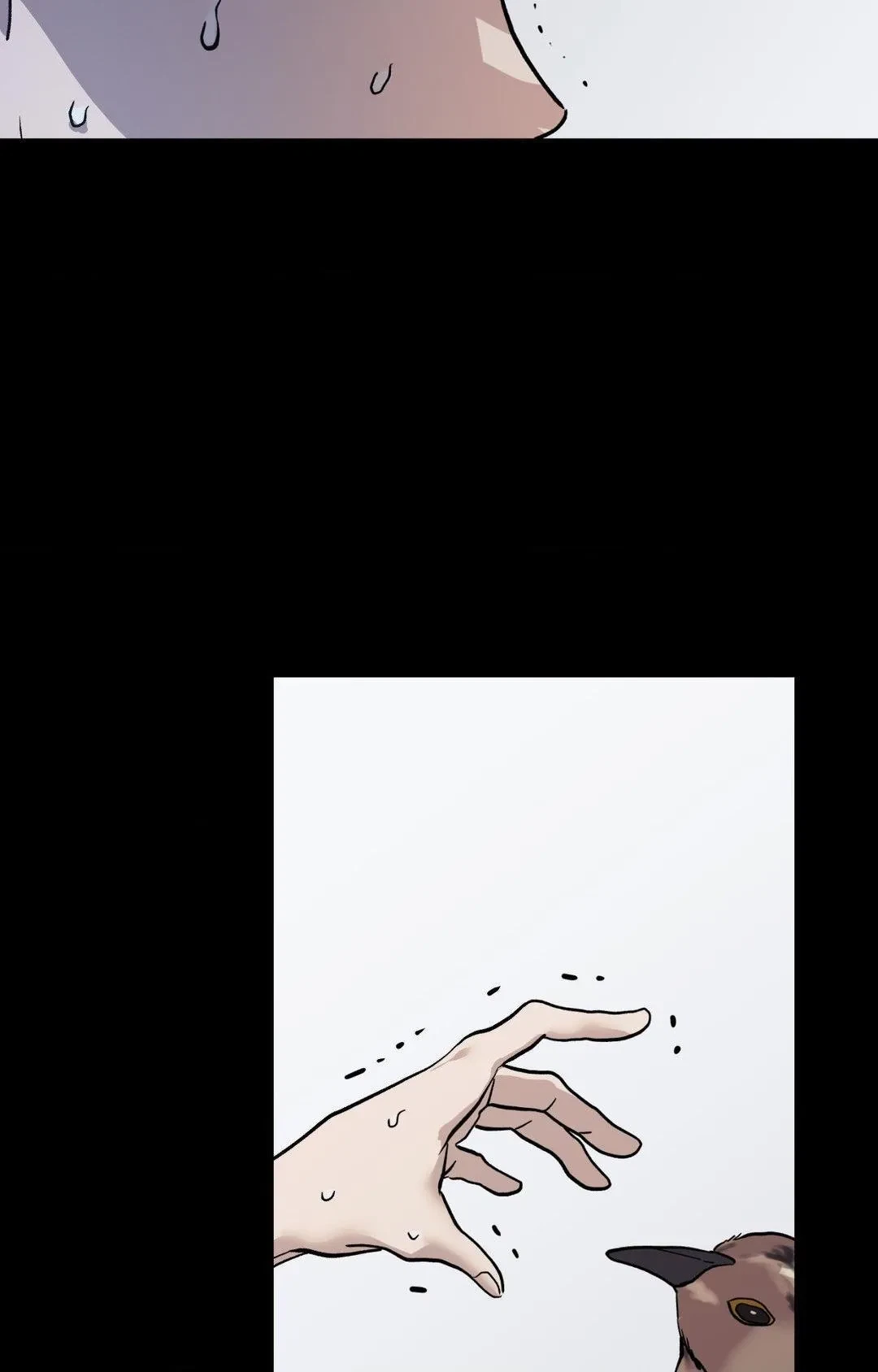 Chapter 5, page 66