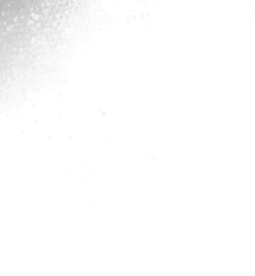 Chapter 27, page 17