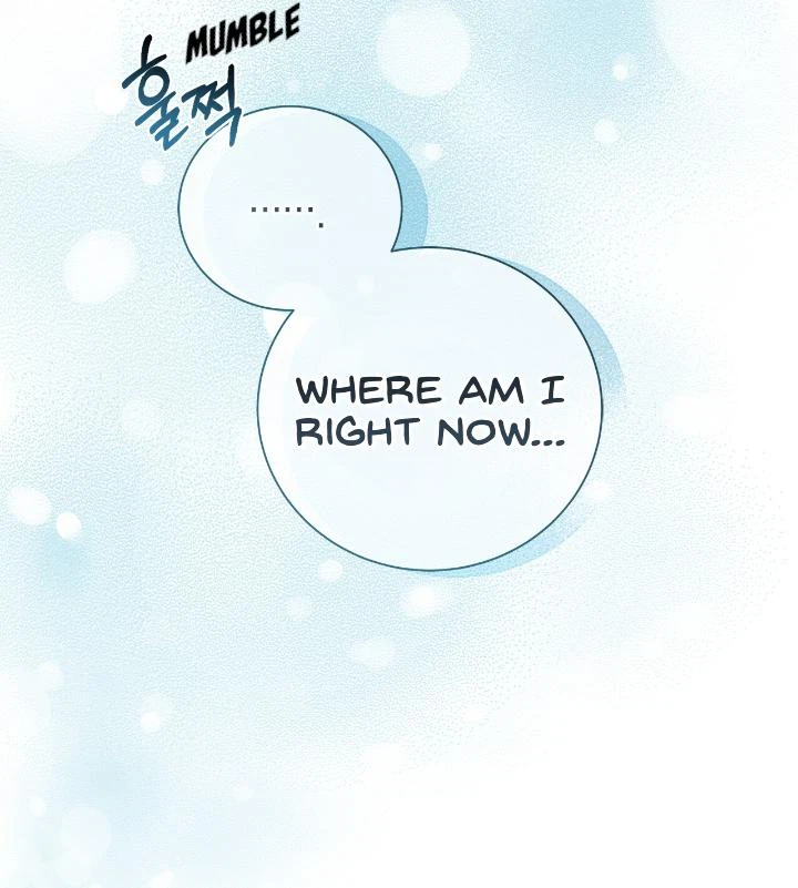Chapter 3, page 52