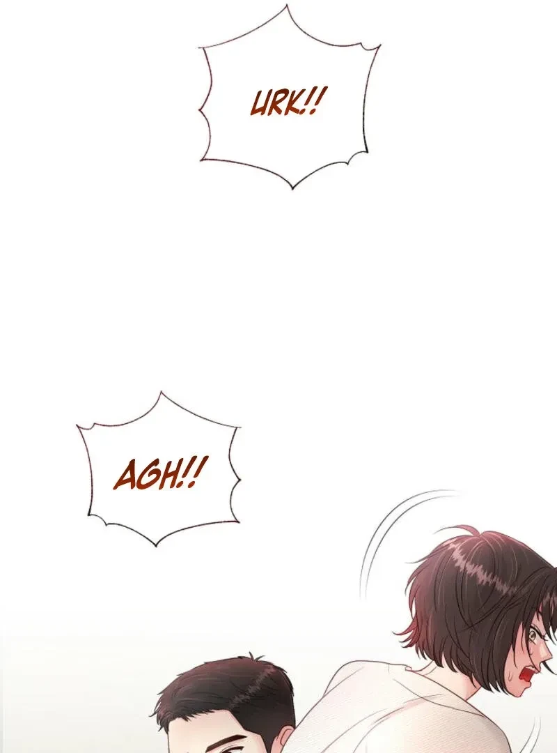 Chapter 2, page 96