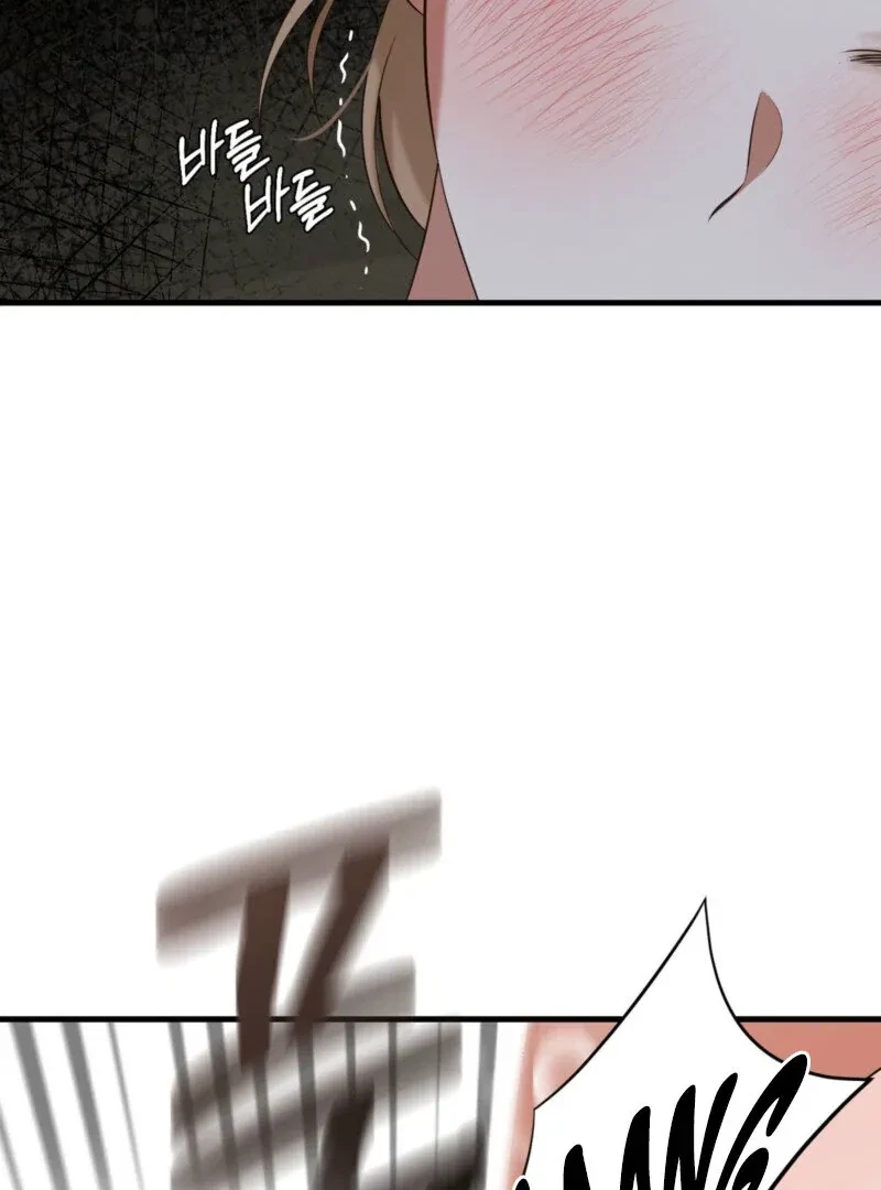 Chapter 2, page 97