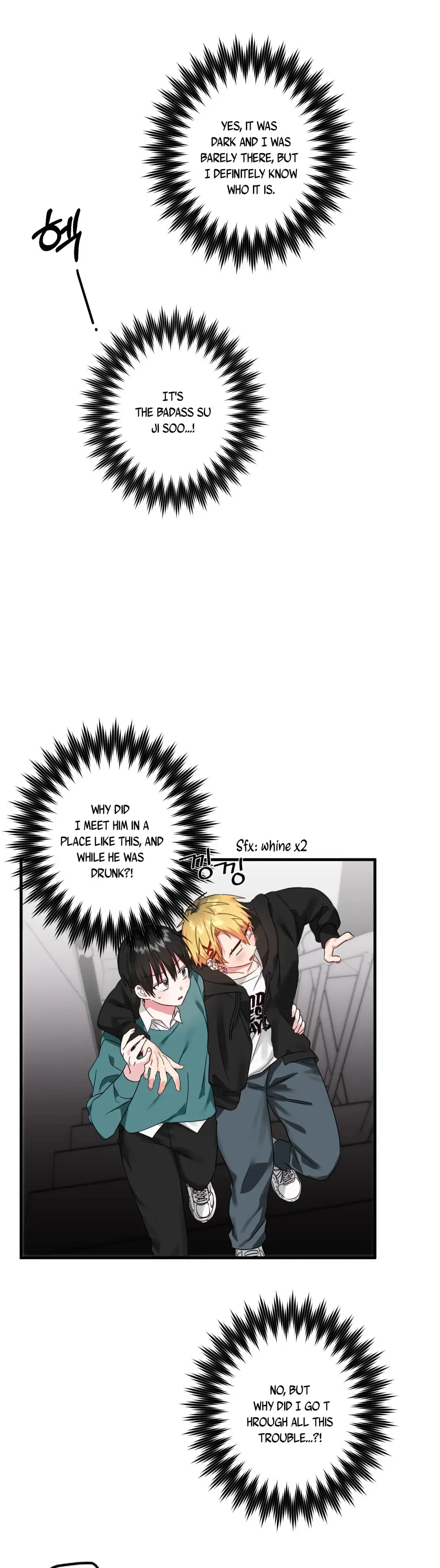 Chapter 1, page 29