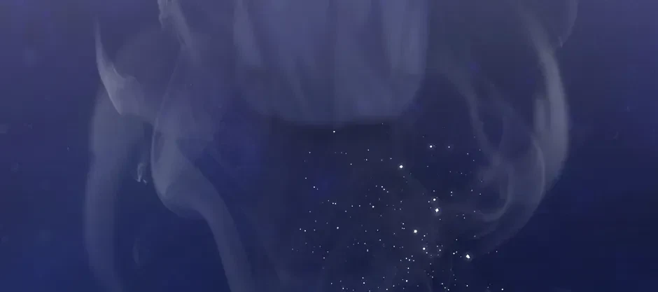 Chapter 34, page 190
