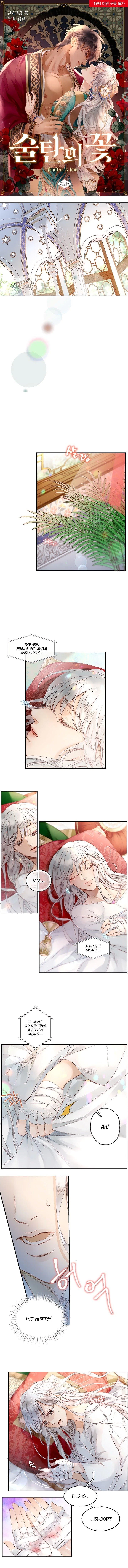 The Sultan's Love Chapter 2, page 2