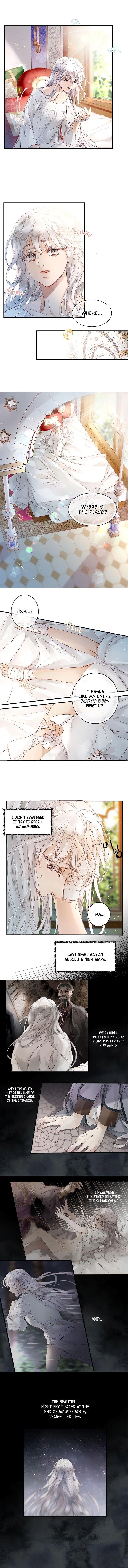 The Sultan's Love Chapter 2, page 3