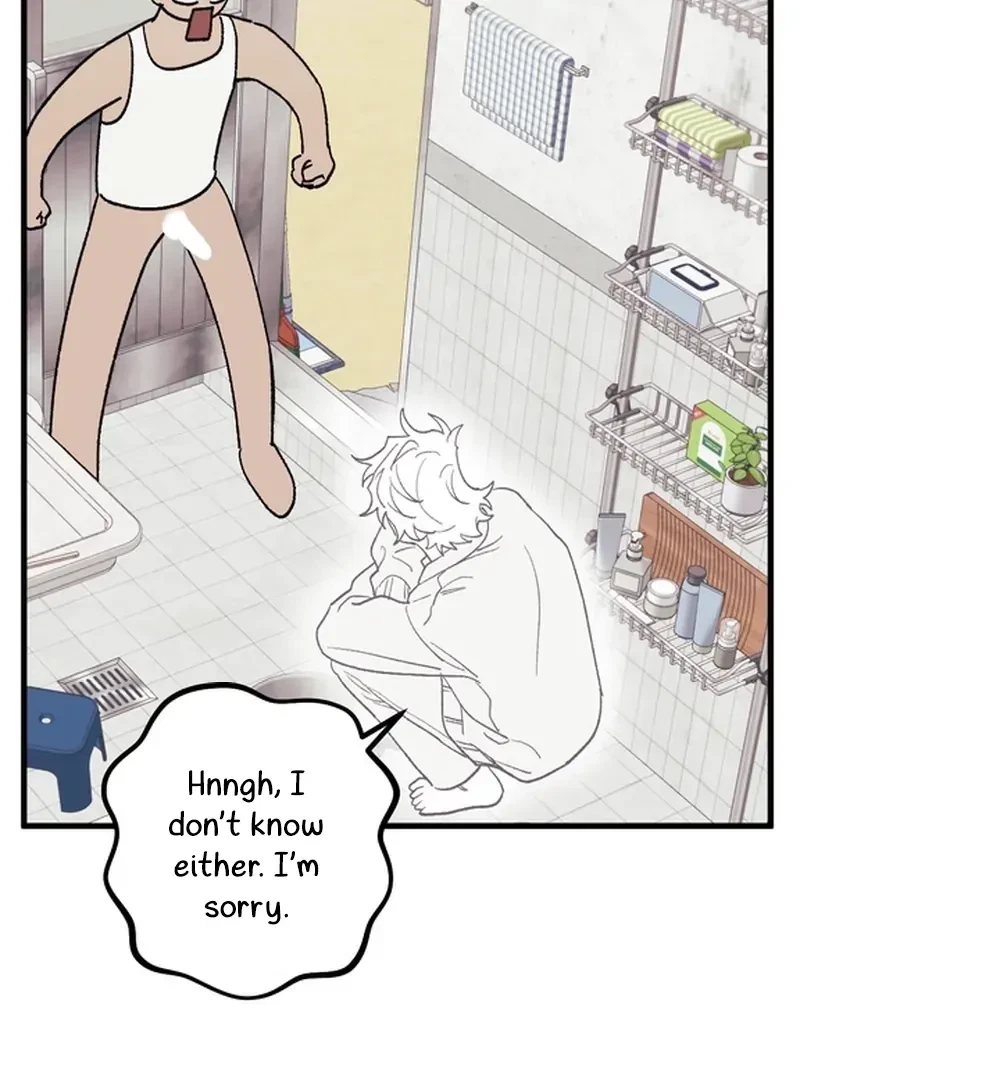 Chapter 3, page 19