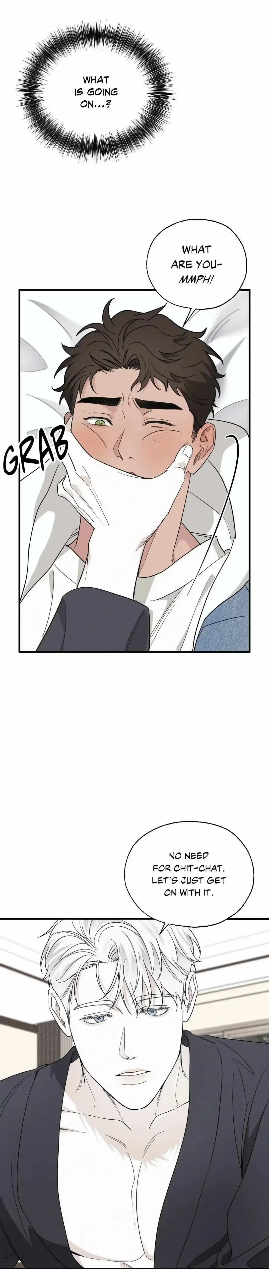 Chapter 1, page 17
