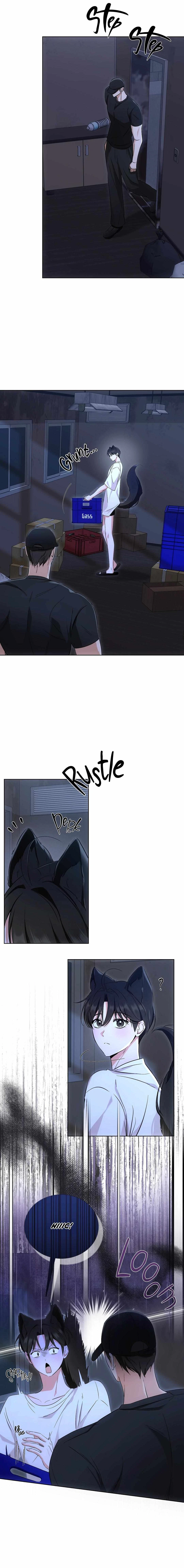 Chapter 4, page 13