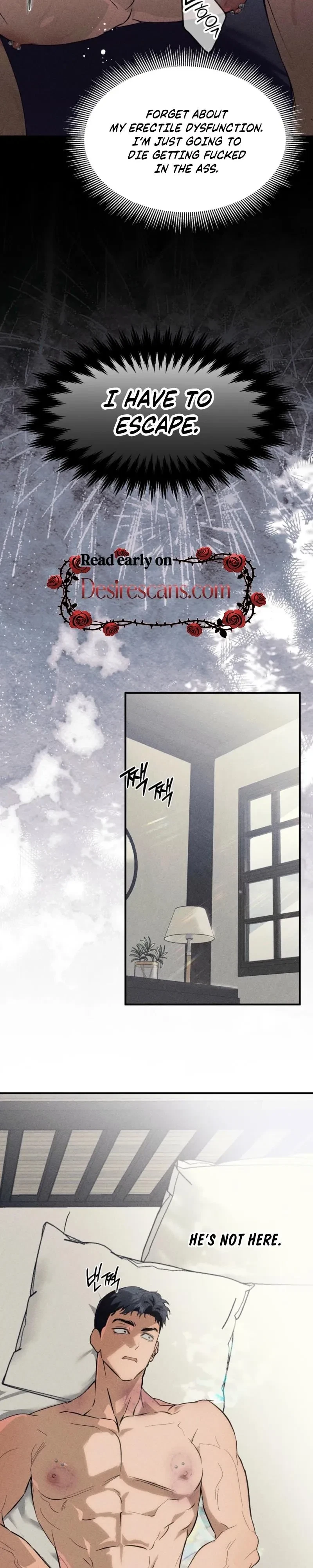 Chapter 3, page 17