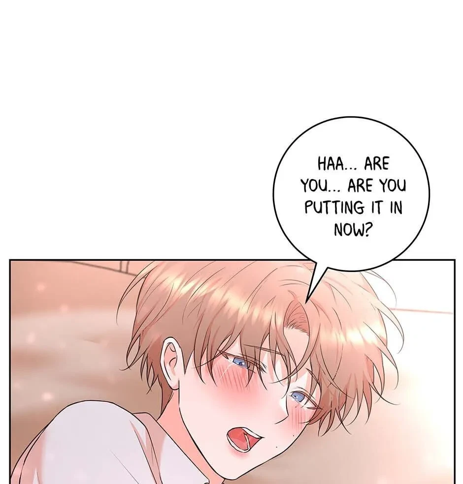 Chapter 4.1, page 15