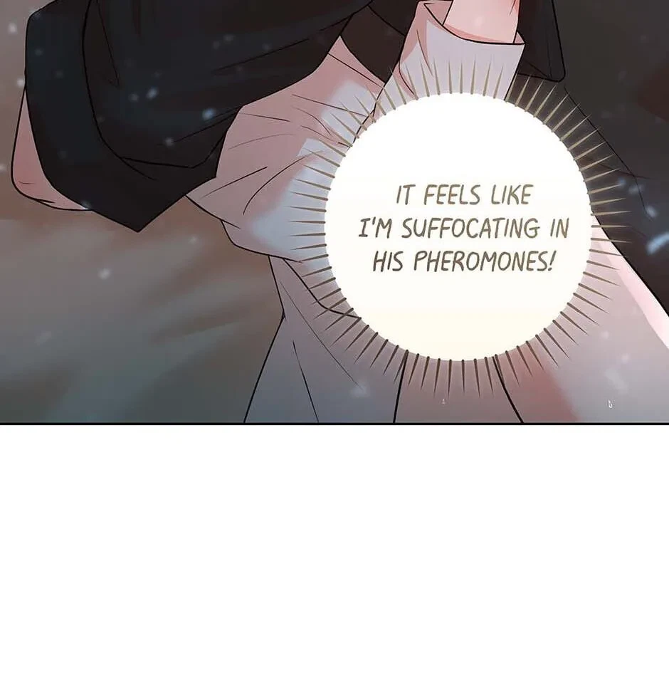 Chapter 4.1, page 36