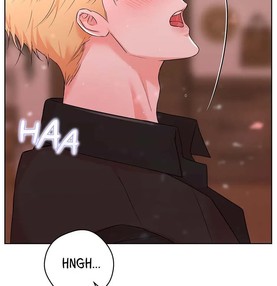 Chapter 4.1, page 53