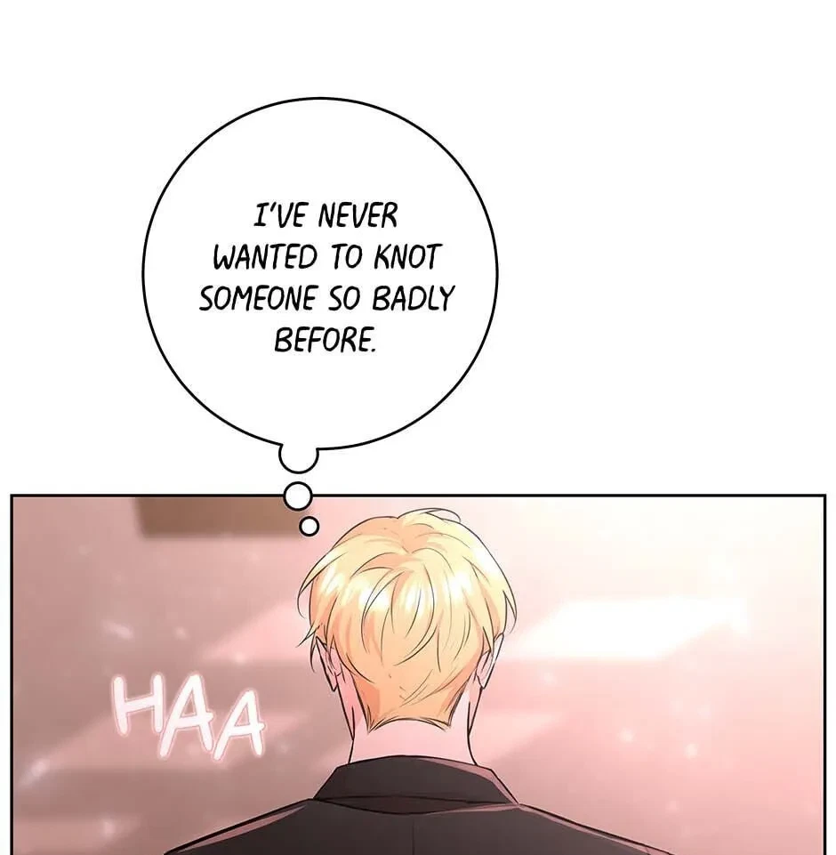 Chapter 4.1, page 61