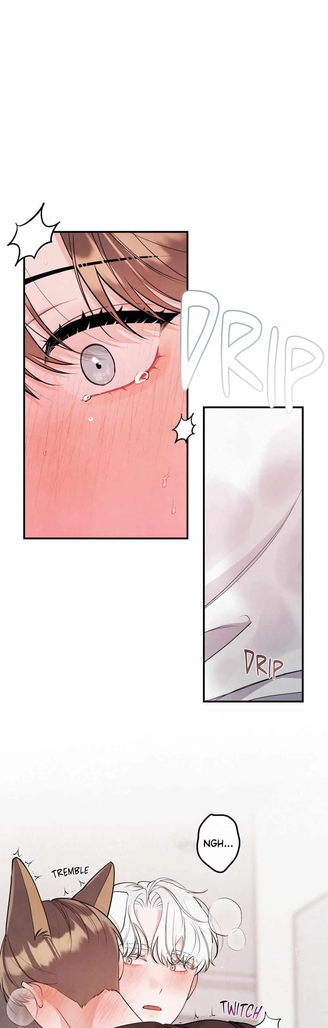 Side.6, page 4