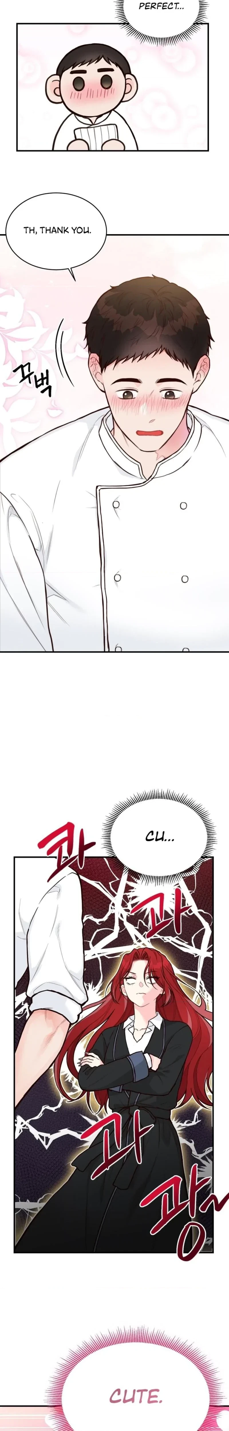 Chapter 1, page 21